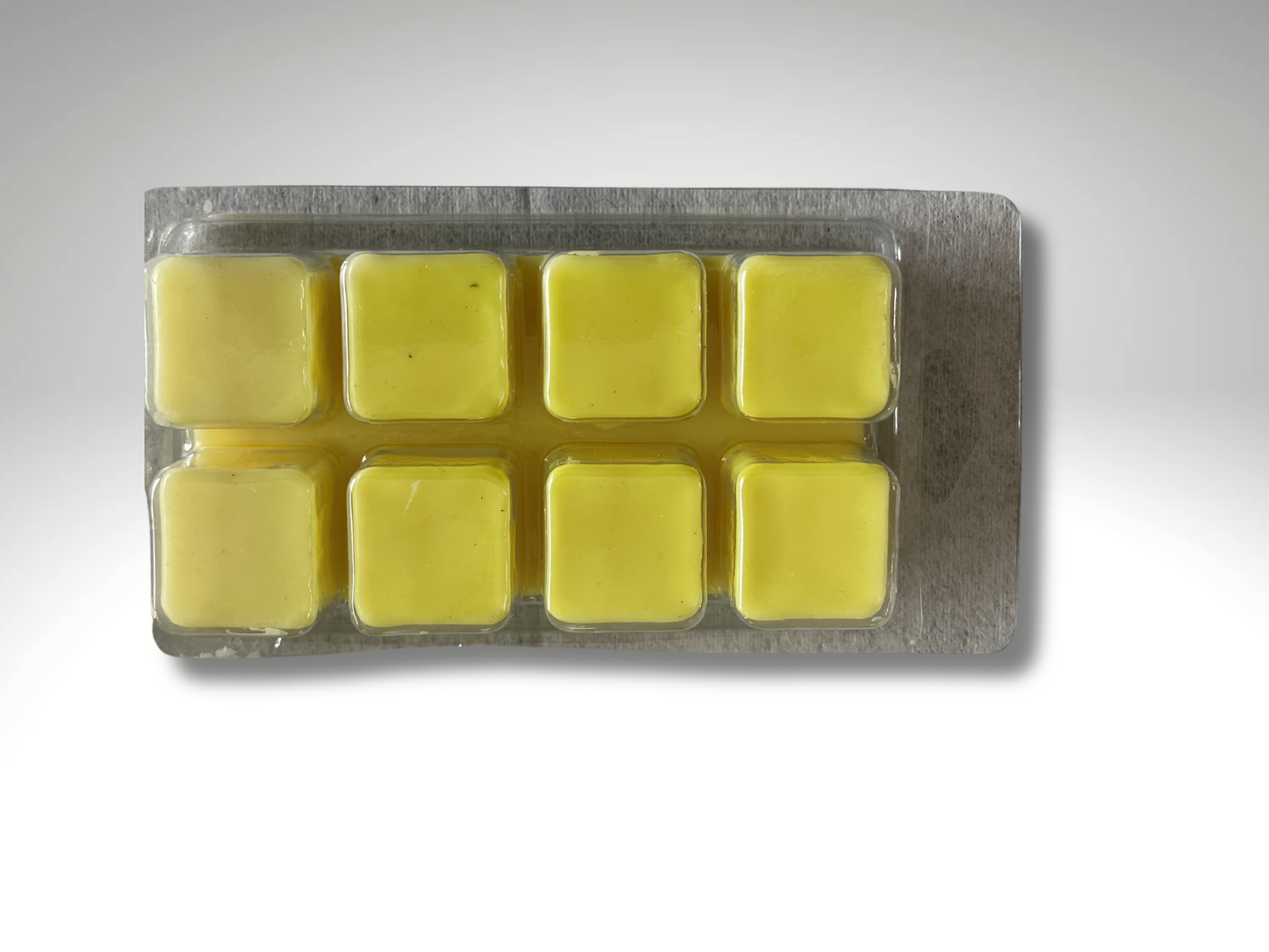 Sick & Shut In Wax Melts
